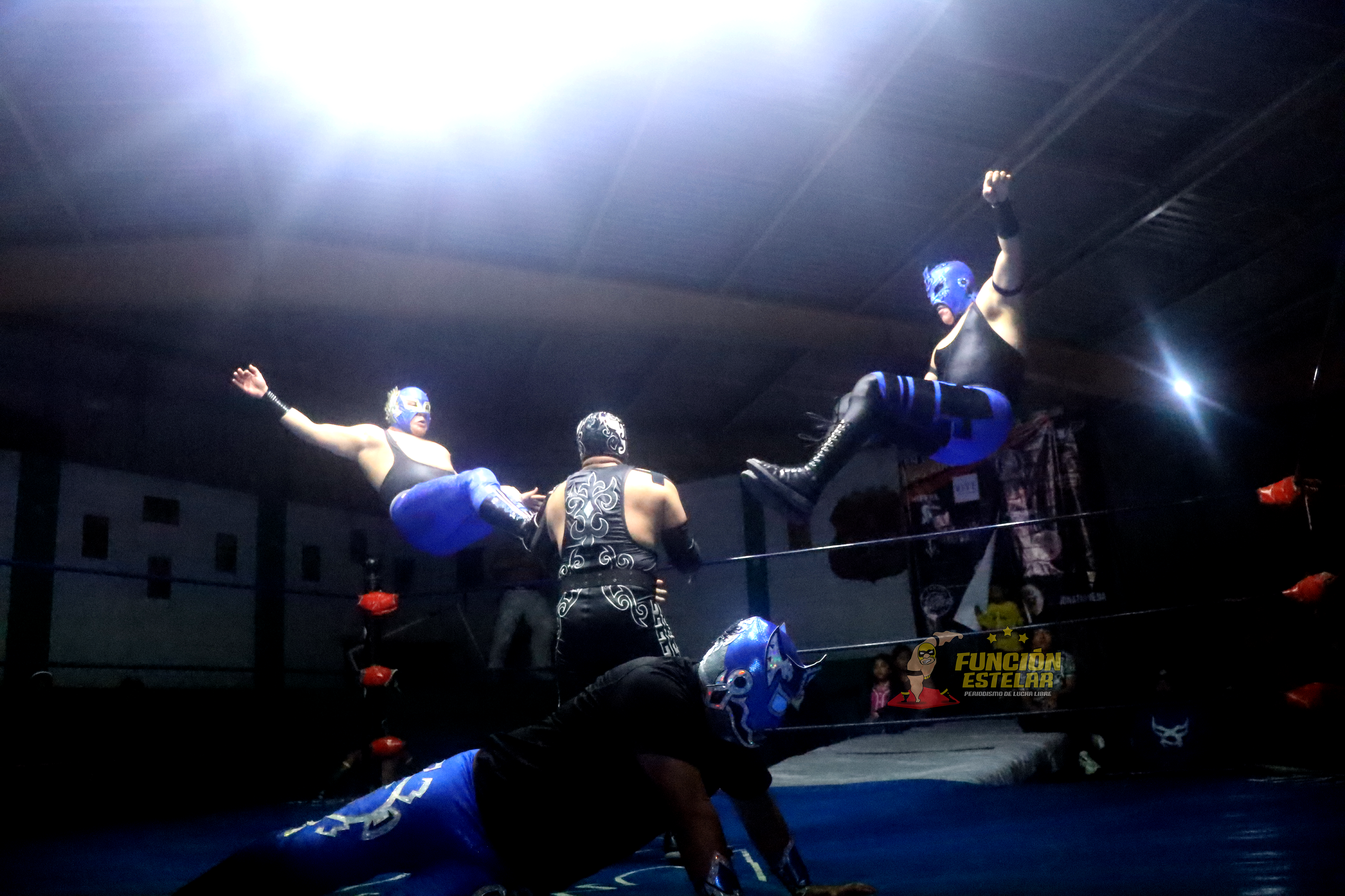 Charro de Jalisco Jr., Lobo Blanco Jr. y Príncipe Shaka concretaron triunfo